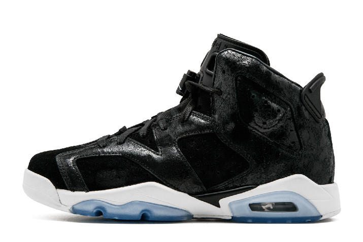 Air Jordan 6 Retro GG Premium Heiress